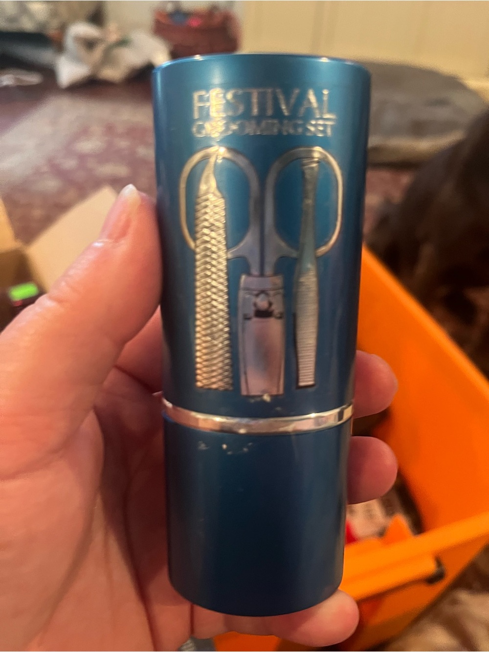 Festival Grooming Kit – Blue Compact Travel Set